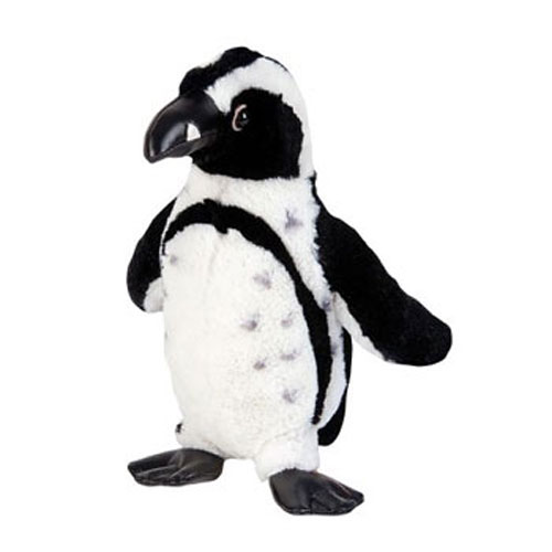 black footed penguin plush