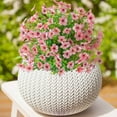 thumbnail image 5 of Gmogad Artificial Silk Flowers Outdoor Decor - Realistic UV Resistant Faux Plants for Porch Garden Patio - All Weather Plastic Flowers for Home Wedding Party Decoration, 5 of 6
