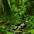 thumbnail image 3 of BELOVING Aquarium Background 3D Background Poster Tank Wall Decorations 61x41cm, 3 of 10