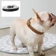 thumbnail image 4 of Collar para perro de cuero suave y cómodo, acolchado, ajustable, duradero, con anilla de aleación antioxidante., 4 of 5