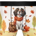 thumbnail image 4 of Welcome Fall English Springer Spaniel Enjoys School Time Autumn Fall Leaves All Over Print Boxer Briefs Underwear for Men Dad Springers Dog Lover Gifts - 02013, 4 of 6