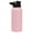 Taffy Pink, variant on MIRA 24 oz Stainless Steel Water Bottle | Vacuum Insulated Metal Thermos Flask Keeps Cold for 24 Hours, Hot for 12 Hours | BPA-Free Spout Lid Cap | Iris