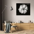 thumbnail image 3 of Vitaly Geyman 34x28 Gallery Wrapped Canvas Wall Art Titled - Wild Rose, 3 of 4