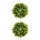 thumbnail image 4 of Ounissouiy Guirnalda de plantas artificiales, adorno colgante de aro de ratán, hoja verde grande de verano para el hogar, boda, fiesta, hogar Type5 NO5, 4 of 6