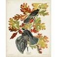 thumbnail image 2 of Audubon, John James 20x24 Gold Ornate Wood Framed with Double Matting Museum Art Print Titled - Pl 107 Canada Jay, 2 of 4