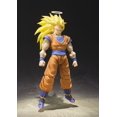 thumbnail image 2 of Figura de acción TAMASHII NATIONS Dragon Ball Z Super Saiyan 3 Goku, 2 of 7