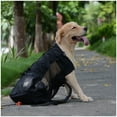 thumbnail image 2 of Gray Outdoor Pet Dog Carrier Backpack  Size  S, 2 of 5