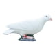 thumbnail image 2 of Figura de paloma blanca, escultura de resina, colección decorativa, paloma artificial Estilo C, 2 of 9