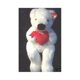 thumbnail image 1 of Romeo Beanie Buddy - Peluche de 14 " Ty 8421053100, 1 of 1