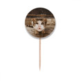 thumbnail image 1 of animal funny cat photograph  Toothpick Flags Round Labels Party Decoration, 1 of 3
