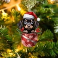 thumbnail image 4 of SLYNSHome 2 Pcs Christmas Dog Hanging Ornament,3.1 Inch Xmas Dog in Tea Cup Pendant with Hat Acrylic Dachshund Figurine for Car Backpacks Tree Door Decoration or as Dog Lover Xmas Gift, 4 of 7
