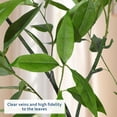 thumbnail image 5 of 6 ft Artificial Eucalyptus Tree in Pot,Realistic Olive Tree with Slender Leaves&Natural Branch for Indoor Home Office Decor,Faux Olive Tree for Living Room,Bedroom, 5 of 10