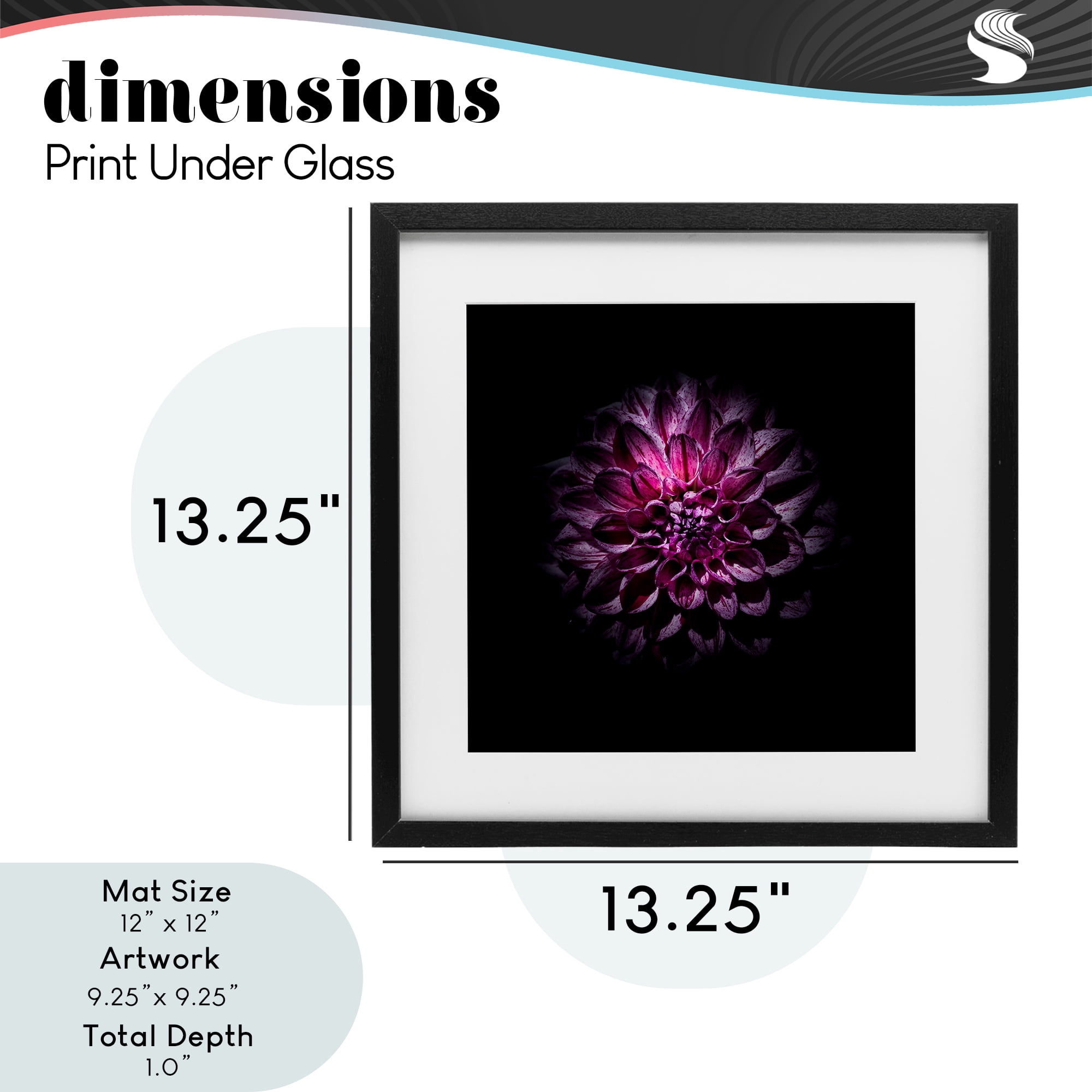 Purple Dahlia Dark Contemporary Black Framed Print Under Glass, design by Brian Carson Photography