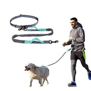 YIHATA Hands Free Dog Leash for Medium and Large Dogs,Running Walking Jogging Training Hiking, Retractable Bungee Dog Running Leash (ALemon Green)