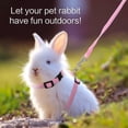 thumbnail image 2 of 2pcs Harnesses For Rabbits, Rabbit Collar Rabbit Leash Adjustable Pet Harness Leashes For Small Animals Adjustable Rabbit Harness, 2 of 5