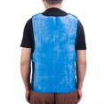thumbnail image 3 of Summer Quickly Relieve Heat Vest Summer Ice Cooling for Jacket Sunstroke Prevention Blue, 3 of 5