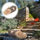 thumbnail image 4 of Guarda llaves de jardín Guarda llaves de repuesto para exteriores Guarda llaves de tocón Guarda llaves de tocón falso, 4 of 6