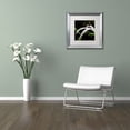 thumbnail image 2 of Trademark Fine Art "Graceful Lily" Canvas Art by Kurt Shaffer, White Matte, Silver Frame, 2 of 4