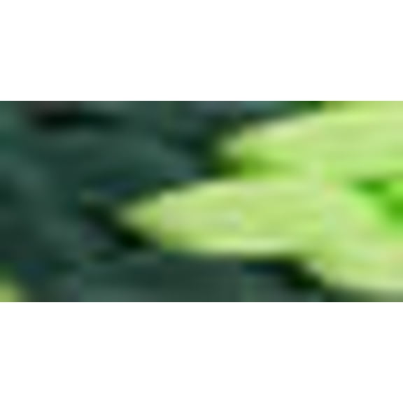 Mendota Products Slip Lead, 1/2" X 6', Green/Lime, Dogs