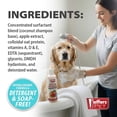 thumbnail image 5 of Jeffers Pet Apple Oatmeal Shampoo for Dogs & Cats, 17 oz - Gentle Coconut Based Formula w/ Colloidal Oat Protein, Soap Free, Deodorizing Apple Scent, Sensitive Skin, Puppies Kittens Grooming Care, 5 of 6
