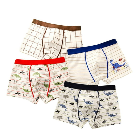 Girls Clothes, 4 Pack Boys Cotton Boxer Briefs Multipacks Kids Cartoon Dinosaur Printed Comfortable Breathable Underwear Pack (10-11T, White 02)