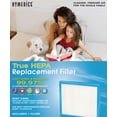 thumbnail image 2 of HoMedics True HEPA Replacement Filter, 75 CADR, Compatible with AP-15 and AF-10 Air Purifiers, 2 of 8
