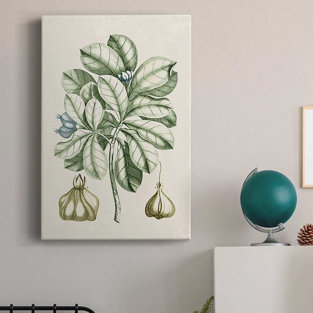 Buchoz Tropicals IX Premium Gallery Wrapped Canvas - Ready to Hang