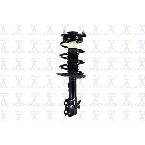 Suspension Strut and Coil Spring Assembly