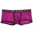 thumbnail image 3 of Pantalones cortos transparentes con de encaje para hombre Calzoncillos tipo baúl Ropa interior de tiro bajo METRO Baoblaze Ropa interior sexy, 3 of 8