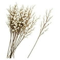 thumbnail image 3 of Pack of 12 Artificial Cream Winter White Weatherproof Berry Stem Branches - Waterproof Berries for Indoor and Outdoor Wreaths, Flower Arrangements, Porch Pots, and Christmas Decorations, 3 of 5