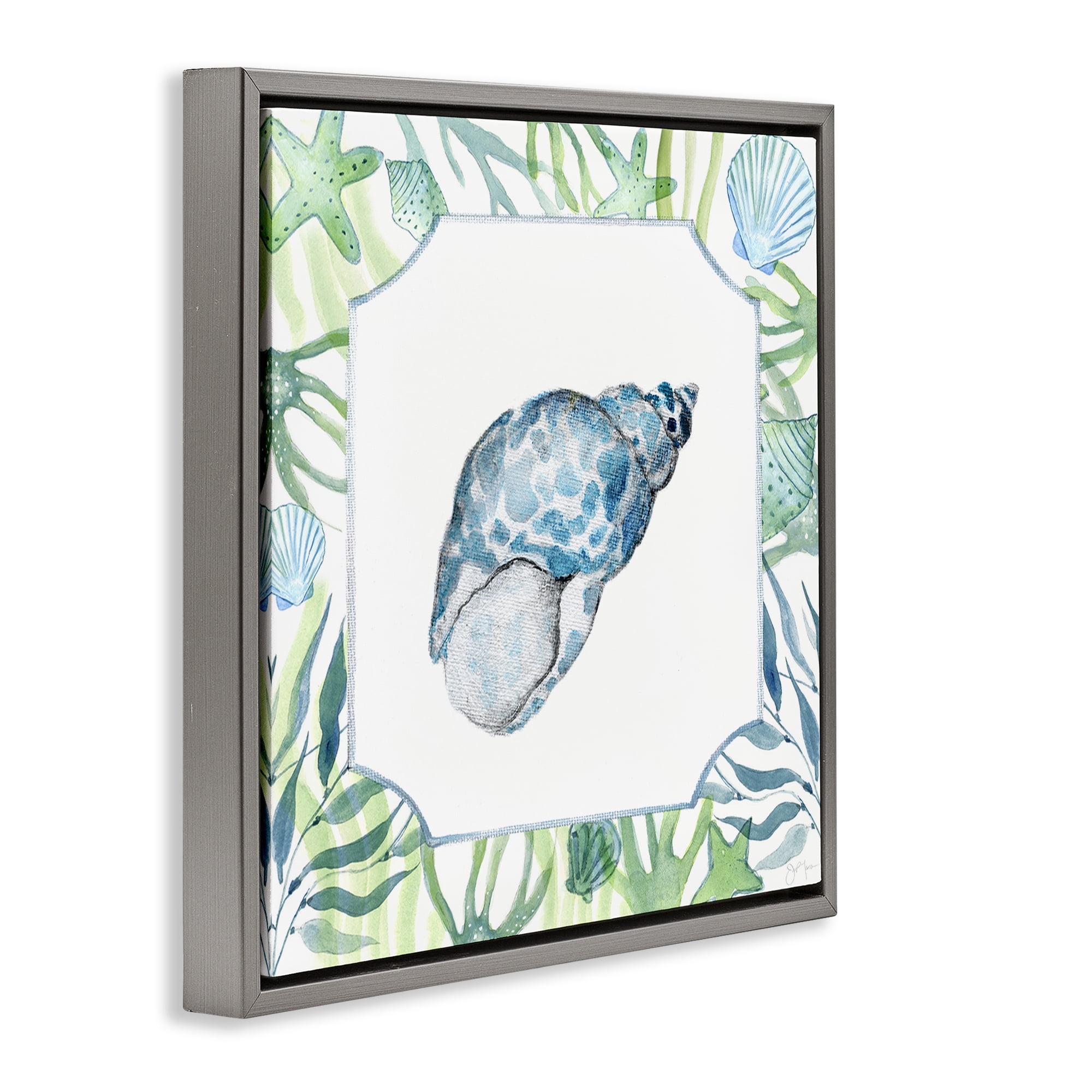 Stupell Industries Spotted Cowrie with Seaweed Gray Framed Floater Canvas Wall Art, design by Janet Tava