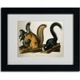 thumbnail image 2 of Trademark Fine Art "Fox Squirrel" Canvas Art by John James Audubon, Black Frame, 2 of 3