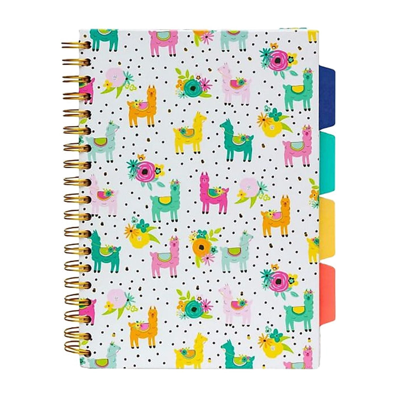 Pukka Pads B5 5-Subject Divider Notebooks, 200 Pages, Rainbow Color Wash, Pack of 3