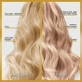 thumbnail image 3 of L'Oréal Paris Le Color Gloss, One Step Hair Gloss, 3 of 7