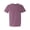 BERRY, variant on HD HANDICHI DESIGN Lake Ontario Comfort Unisex Shirt, Great Lakes Life Tee