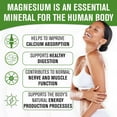 thumbnail image 5 of NaturalSlim MagicMag® Magnesium Citrate Powder - Honey Chamomile, 2-Pack, 5 of 6