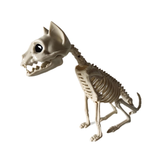 Figura de esqueleto de Halloween, escultura realista de animal, decoración creativa para el hogar. Gato