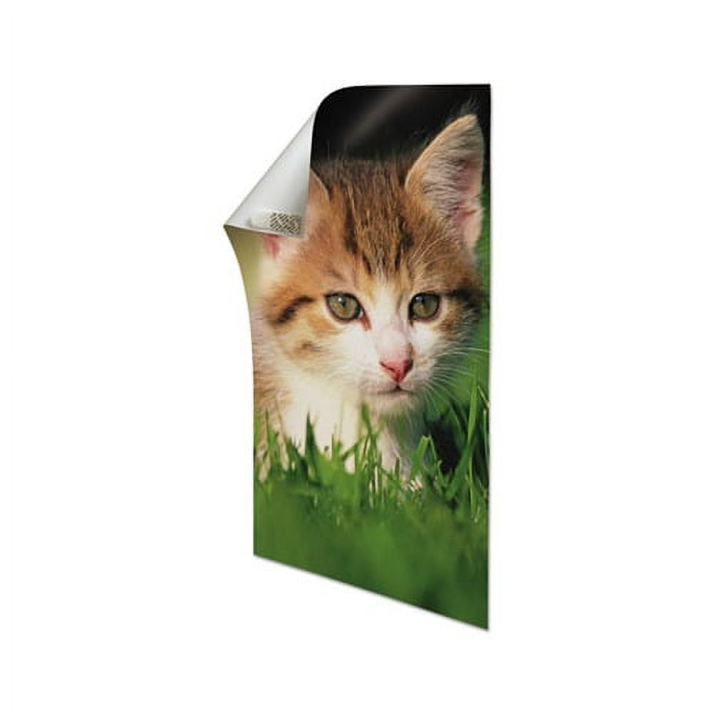 Command Poster Strips, White, 4/Pack, 100 Packs/Carton - MMM17024CABPK