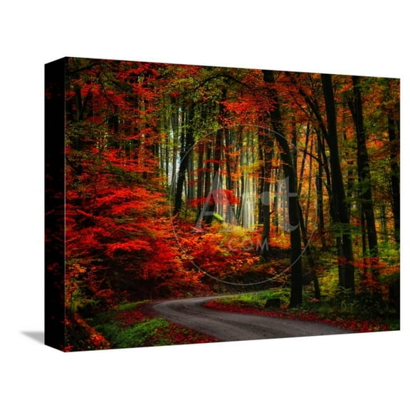 Colorful Way, Scenic Seasons Stretched Canvas Wall Art by Philippe SainteLaudy Sold by ArtCom
