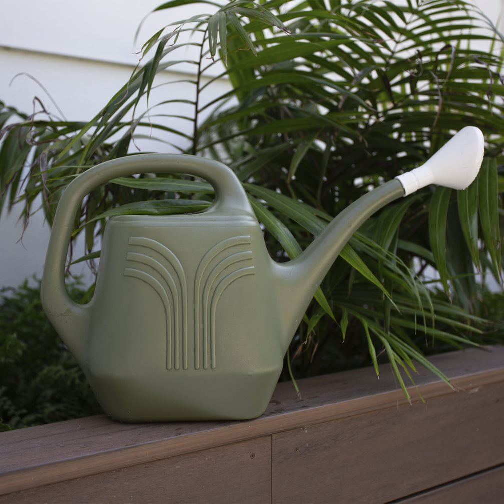 Bloem Promo Plastic Watering Can - 2 Gallon Capacity - Living Green