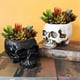 thumbnail image 3 of Resin Human Skull Model Workmanship Skull Planter Pot for Home B, 3 of 5