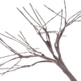thumbnail image 6 of LYTMENT 20pcs Mini Cherry Tree Boles - Realistic Tree Branches For Micro-Landscape Crafts Home Decor Diy Miniature Scenes, 6 of 9