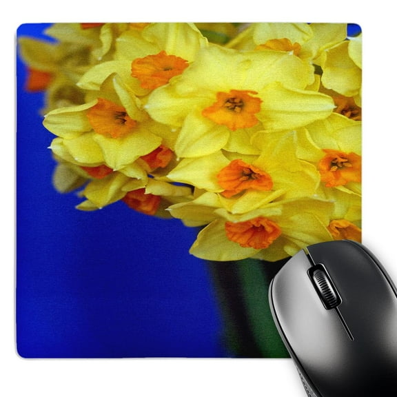 3dRose, Easter Daffodils , MousePad