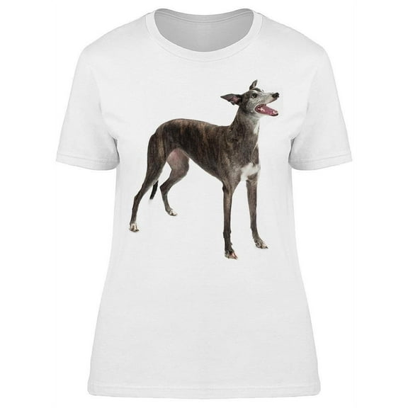 Cool Hound Dog  Smiling T-Shirt Women -Image by Shutterstock, Female 3X-Large