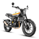 thumbnail image 2 of MOTOCICLETA DAYTONA SCRAMBLER MAX 300 BLANCO 2026, 2 of 2