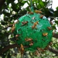 thumbnail image 6 of YiaNXan 10 Pack Sticky Fruit Fly Trap Ball, Hanging Adhesive Fly Catching Ball for Plants, Catching Indoor Outdoor Garden Kitchen Gnat Flying Insects Traps (Green), 6 of 9