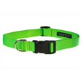 thumbnail image 1 of Nylon Webbing Dog Collar, Neon Green - Small, 1 of 1