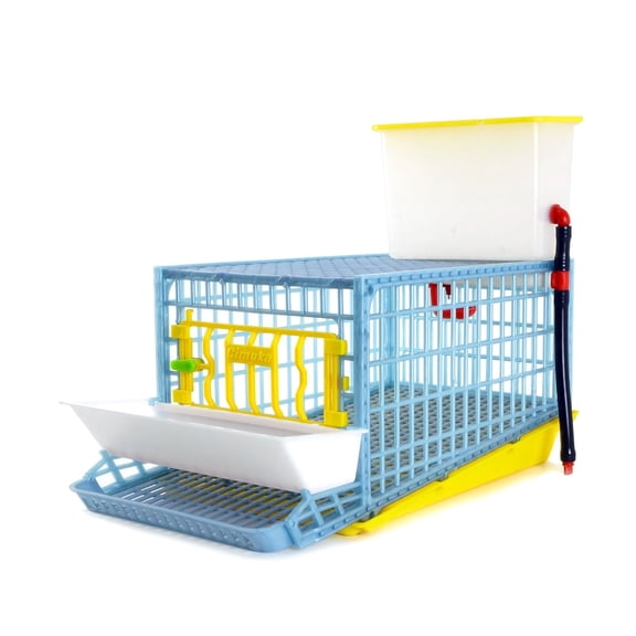 Hatching Time Jumbo Quail Cage, 1 Section Coop, ABS Plastic, Easy Clean, Cimuka