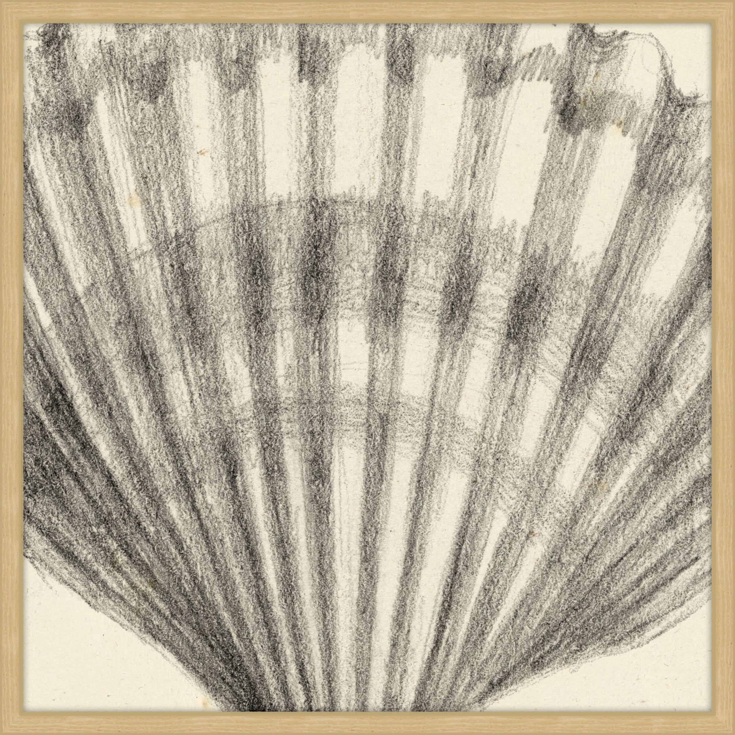 Marmont Hill "Shell Study III" Framed Painting Print