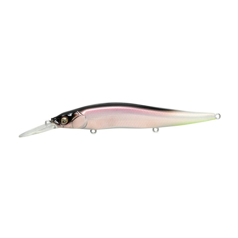  Megabass Vision 110 JR GP PRO Blue II : Sports & Outdoors